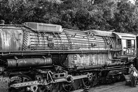 POMONA 3-B&W